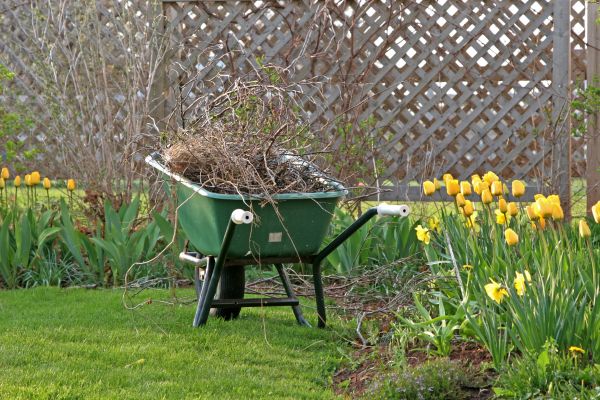 Flower Bed Cleanup Service in Santa Maria