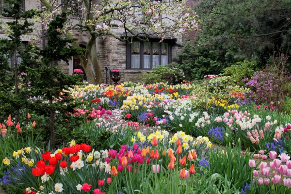 Garden Maintenance Service in Santa Maria