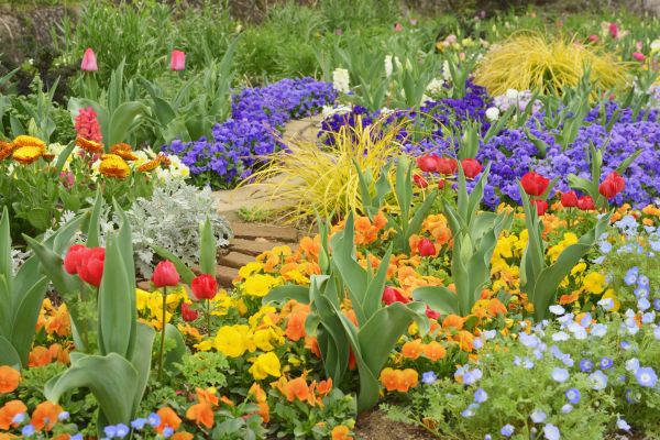 Garden Renovation in Santa Maria