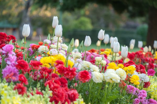 Gardening Service in Santa Maria