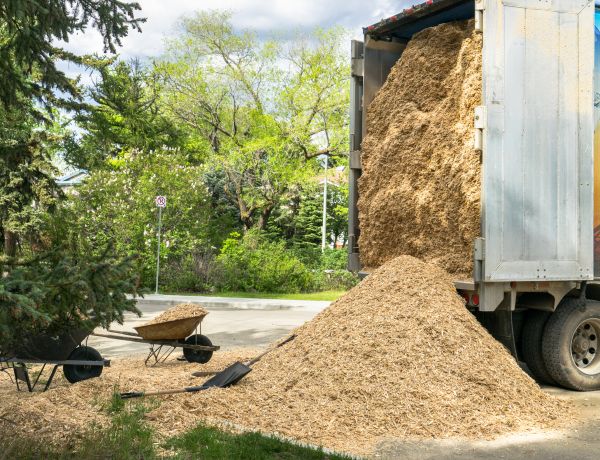 Wood Chips Delivery in Santa Maria