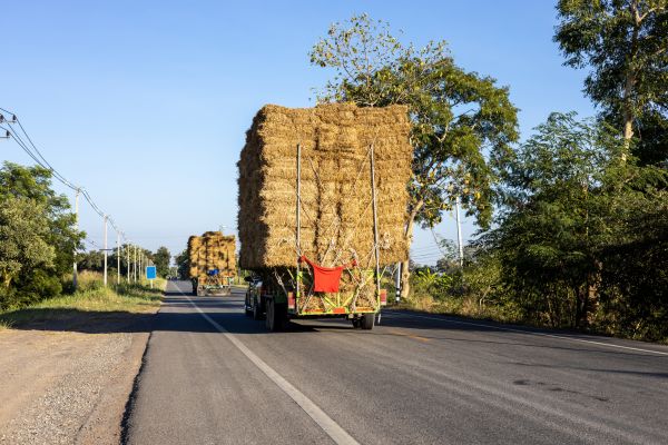 Pine Straw Delivery in Santa Maria