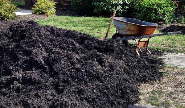 Black Mulch Delivery in Santa Maria