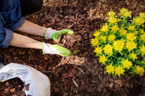Garden Mulching in Santa Maria