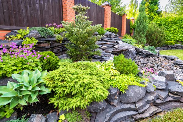 Landscape Remodeling in Santa Maria