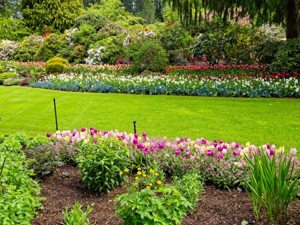 Residential Landscape Design in Santa Maria