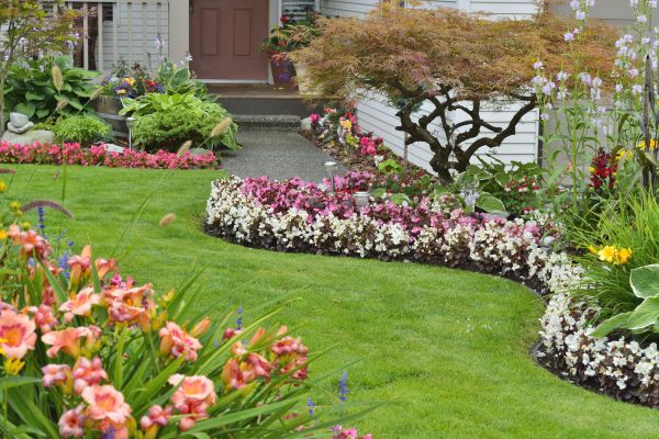 Perennial Landscaping in Santa Maria