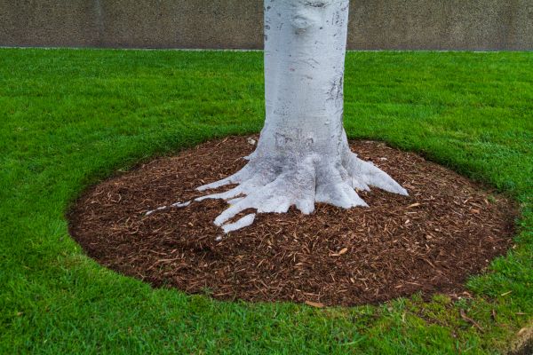 Brown Mulch Installation in Santa Maria