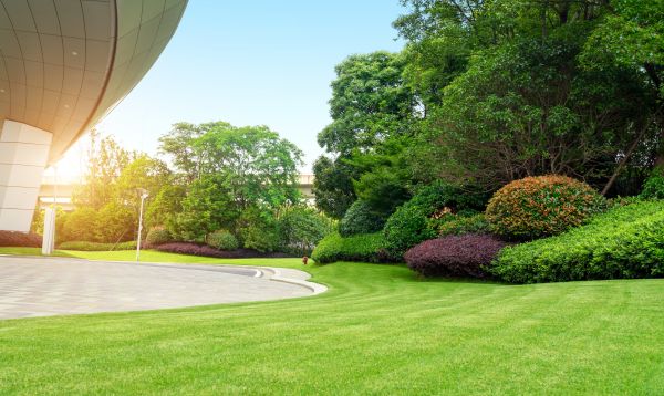 Business Landscape Design in Santa Maria