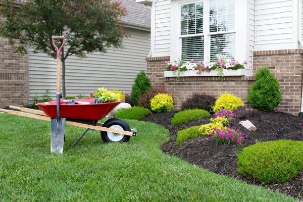 Tree And Shrub Planting in Santa Maria
