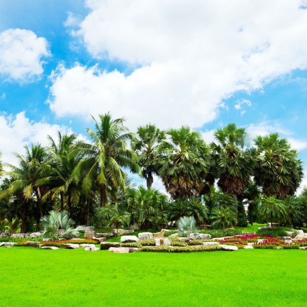 Tropical Landscaping in Santa Maria