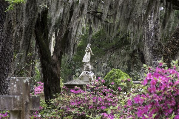 Cemetery Landscaping in Santa Maria