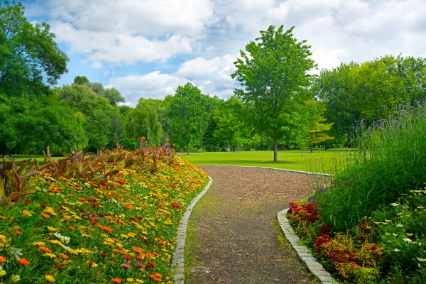 Park Landscaping in Santa Maria