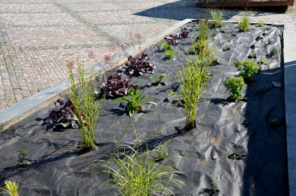 Landscape Fabric Installation in Santa Maria