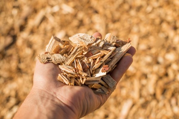 Wood Chips Spreading in Santa Maria