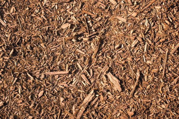 Wood Chips Removal in Santa Maria