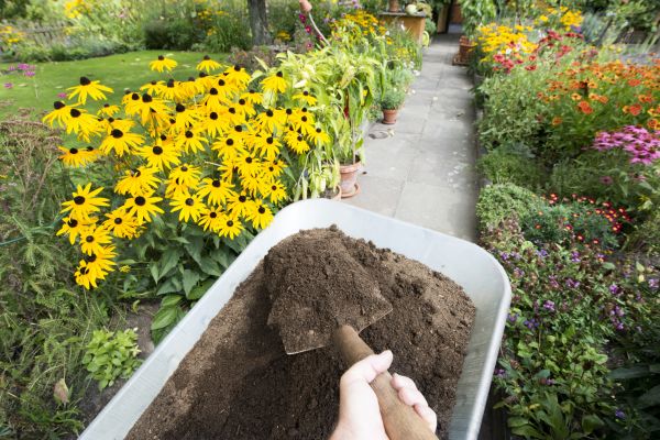 Topsoil Replacement in Santa Maria