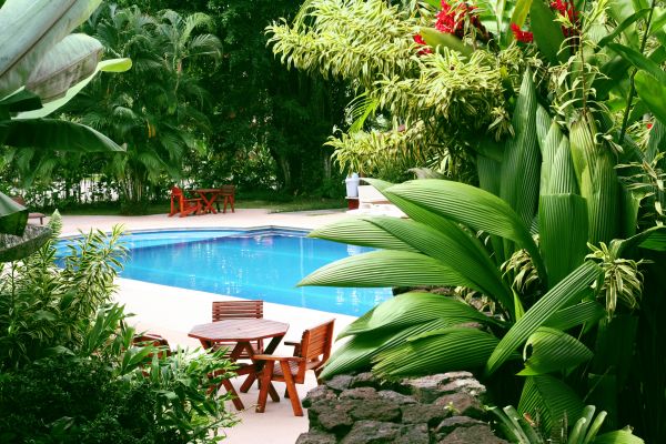Pool Area Landscaping in Santa Maria