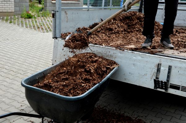 Cedar Mulch Delivery in Santa Maria