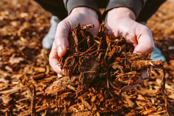 Bark Chips Delivery in Santa Maria