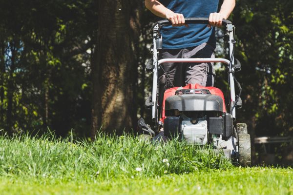 Garden Trimming Service in Santa Maria