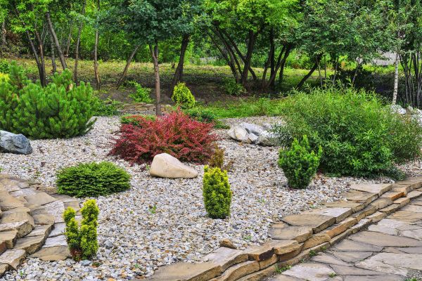 Hardscape Landscaping in Santa Maria