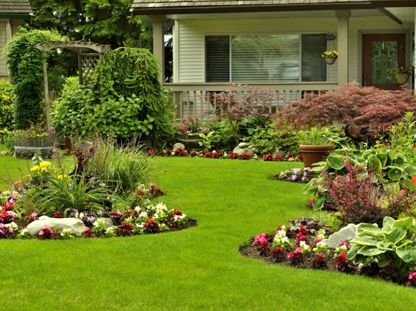 Flower Garden Planting in Santa Maria