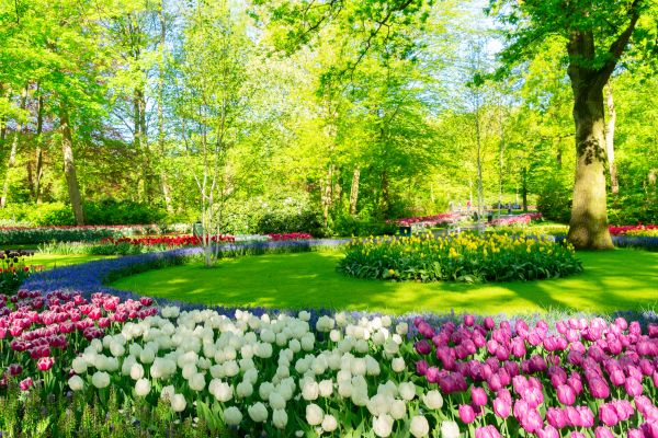 Flower Landscaping in Santa Maria