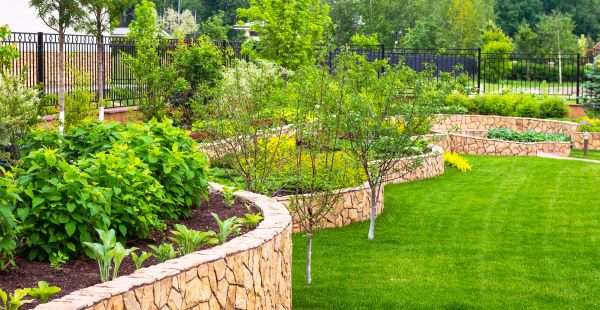 Yard Makeover Service in Santa Maria