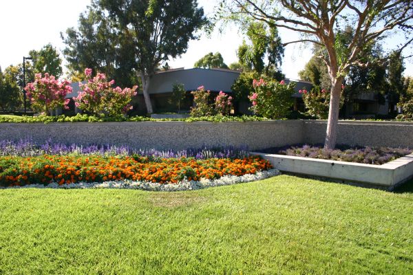 Commercial Landscape Service in Santa Maria