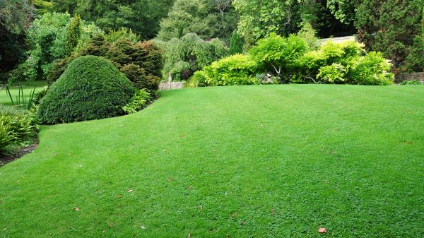 Commercial Landscape Design in Santa Maria