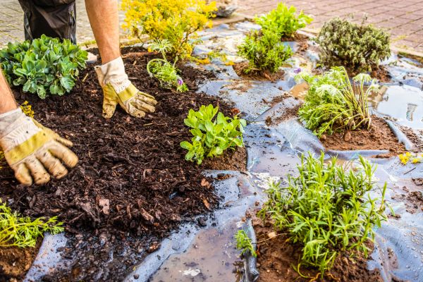Mulch Fabric Installation in Santa Maria