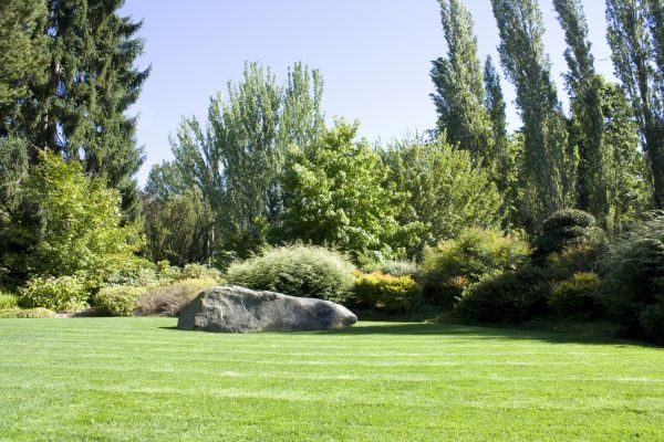 Yard Enlargement in Santa Maria