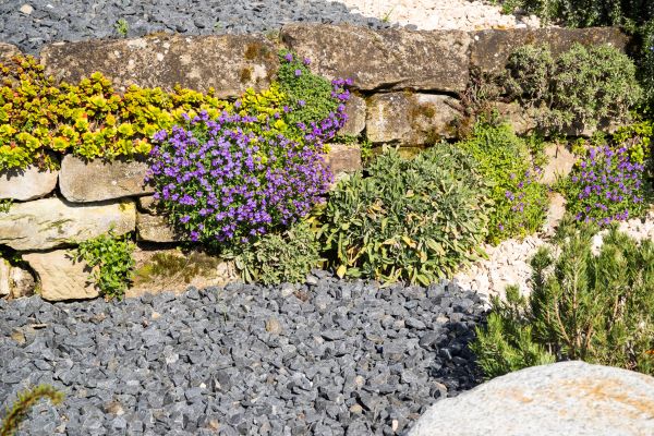 Landscaping Rocks Installation in Santa Maria