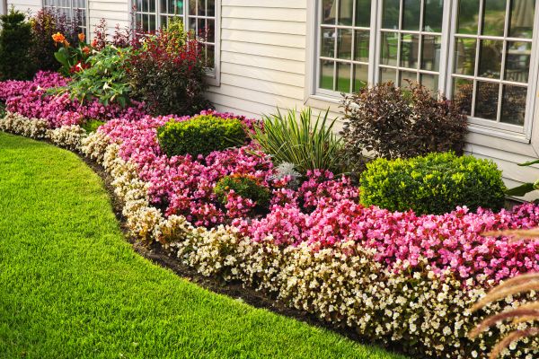 Garden Landscape Design in Santa Maria