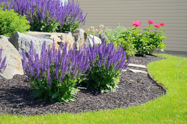 Landscape Planting Service in Santa Maria