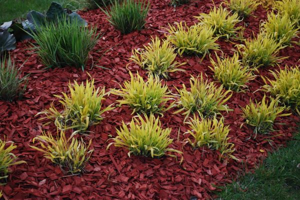 Red Mulch Installation in Santa Maria