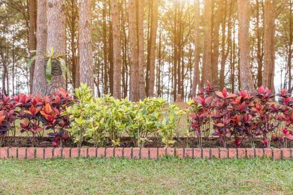 Small Garden Landscaping in Santa Maria