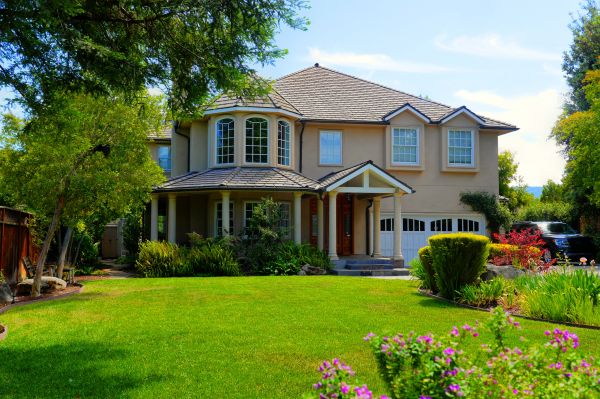 Large Yard Landscaping in Santa Maria