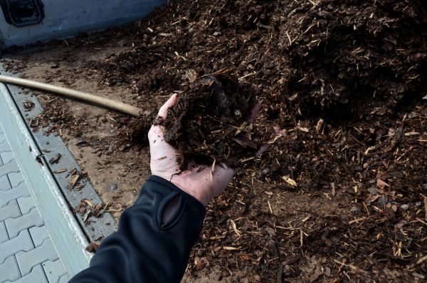 Condo Mulching in Santa Maria