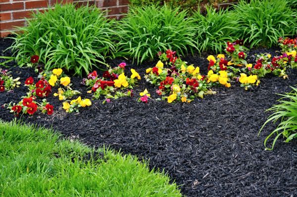 Apartment Mulching in Santa Maria