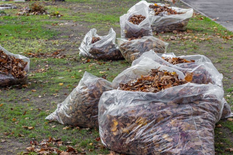 Managing Leaf Debris