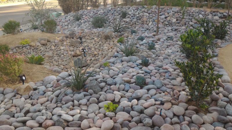 Xeriscaping Service